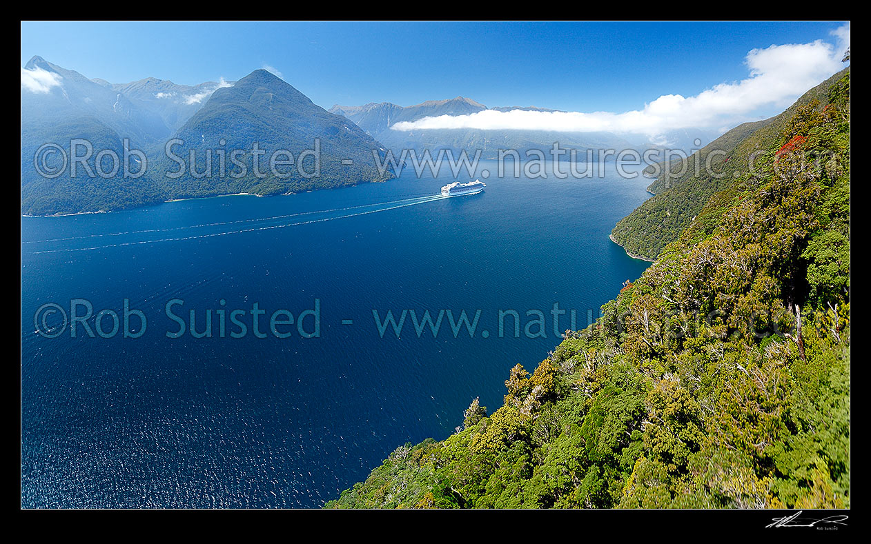 Image of Cruise ship in Thompson Sound, sailing towards Bradshaw and Doubtful Sounds. Flowering Rata trees on Secretary Island at left. Princess Cruises Diamond Princess vessel. Aerial panorama, Thompson Sound, Fiordland National Park, Southland District, Southland Region, New Zealand (NZ) stock photo image