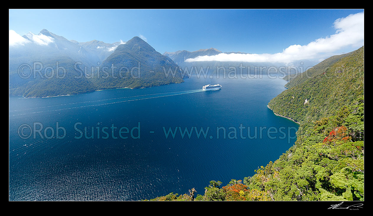 Image of Cruise ship in Thompson Sound, sailing towards Bradshaw and Doubtful Sounds. Flowering Rata trees on Secretary Island at left. Princess Cruises Diamond Princess vessel. Aerial panorama, Thompson Sound, Fiordland National Park, Southland District, Southland Region, New Zealand (NZ) stock photo image