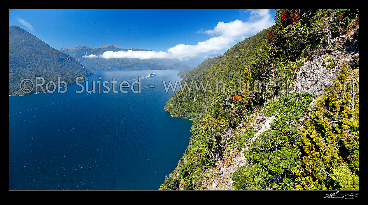 Image of Cruise ship in Thompson Sound, sailing towards Bradshaw and Doubtful Sounds. Flowering Rata trees on Secretary Island at left. Princess Cruises Diamond Princess vessel. Aerial panorama, Thompson Sound, Fiordland National Park, Southland District, Southland Region, New Zealand (NZ) stock photo image