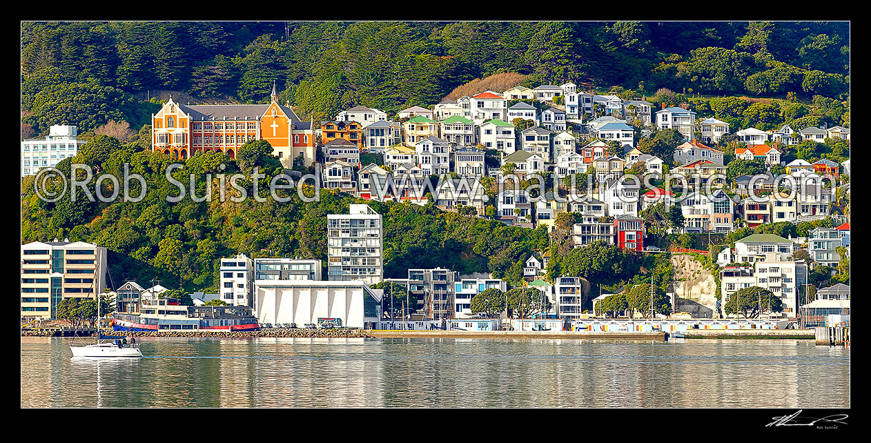 Image of Oriental Bay houses perched above Oriental Parade, Wellington Harbour and Port Nicholson boat sheds. Huge file size. Panorama, Wellington, Wellington City District, Wellington Region, New Zealand (NZ) stock photo image