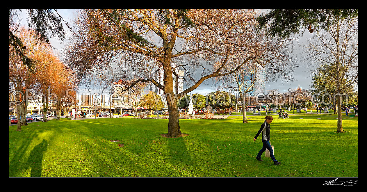 Image of The Square in Palmerston North town centre, with person walking through the park and trees in late afternoon sun. Panorama, Palmerston North, Palmerston North City District, Manawatu-Wanganui Region, New Zealand (NZ) stock photo image