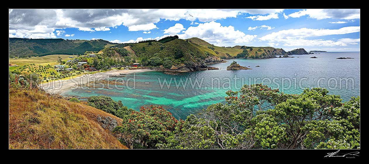 Image of Putataua Bay and beach next to Matauri Bay, with flowering pohutukawa trees. Panorama, Matauri Bay, Far North District, Northland Region, New Zealand (NZ) stock photo image