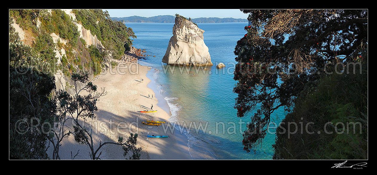 Image of Cathedral Cove beach with sea kayakers and people enjoying a peaceful morning, in Whanganui A Hei Marine Reserve. Panorama, Hahei, Coromandel Peninsula, Thames-Coromandel District, Waikato Region, New Zealand (NZ) stock photo image