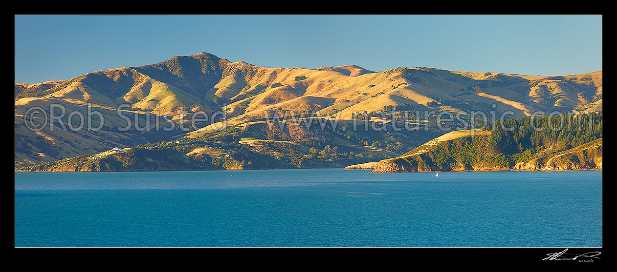 Image of Akaroa upper harbour, looking towards Robinsons Bay (left), Duvauchelle Peak (738m), and Takamatua with passing sailboat (right) from near Wainui. Banks Peninsula. Panorama, Akaroa, Christchurch City District, Canterbury Region, New Zealand (NZ) stock photo image