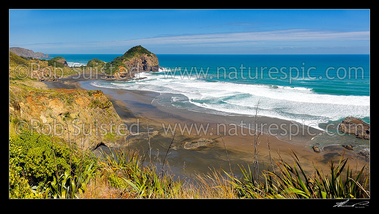 Image of O'Neill's Bay Beach and walker, seen from the Hillary Trail Te Henga walkway with Erangi Point (left). Panorama, Bethells Beach, West Auckland, Waitakere City District, Auckland Region, New Zealand (NZ) stock photo image