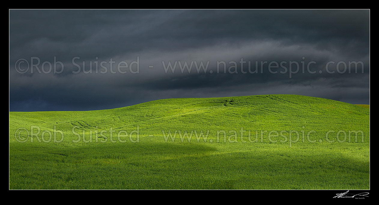 Image of Dark moody stormy skies brewing with rainbow above lush summer grass farmland in Central Hawke's Bay. Panorama, Dannevirke, Tararua District, Manawatu-Wanganui Region, New Zealand (NZ) stock photo image