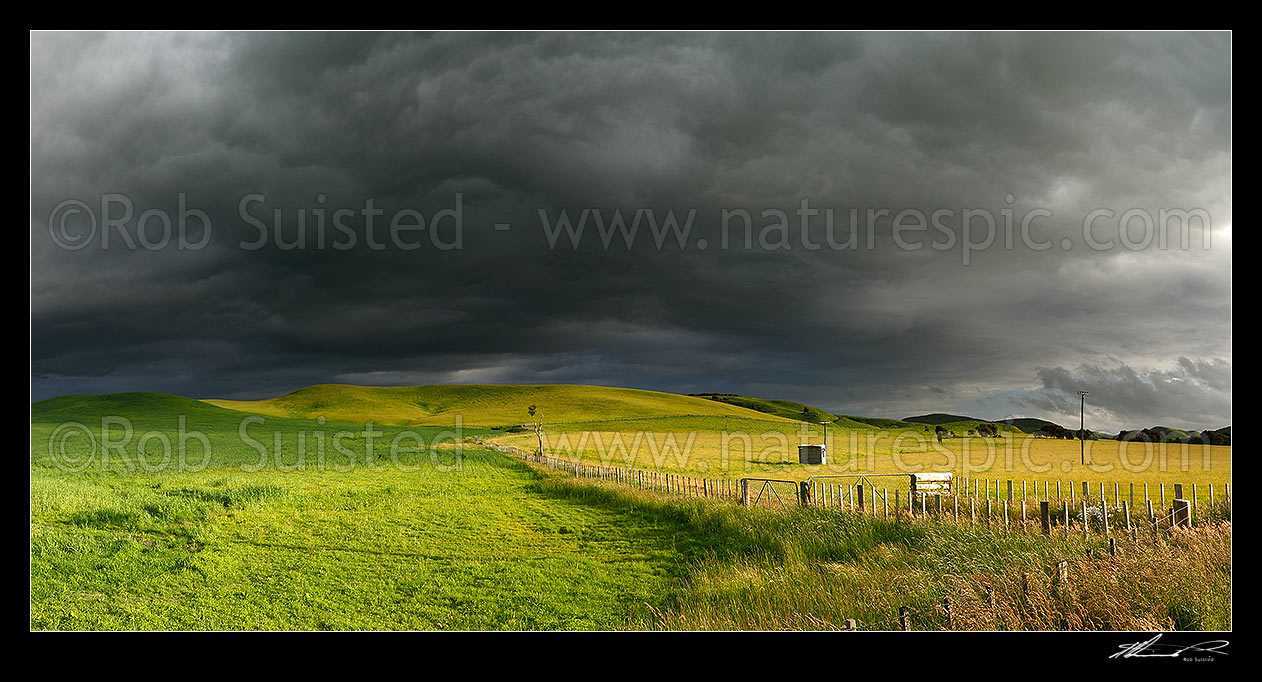 Image of Dark moody stormy skies brewing above lush summer grass farmland in Central Hawke's Bay. Panorama, Dannevirke, Tararua District, Manawatu-Wanganui Region, New Zealand (NZ) stock photo image