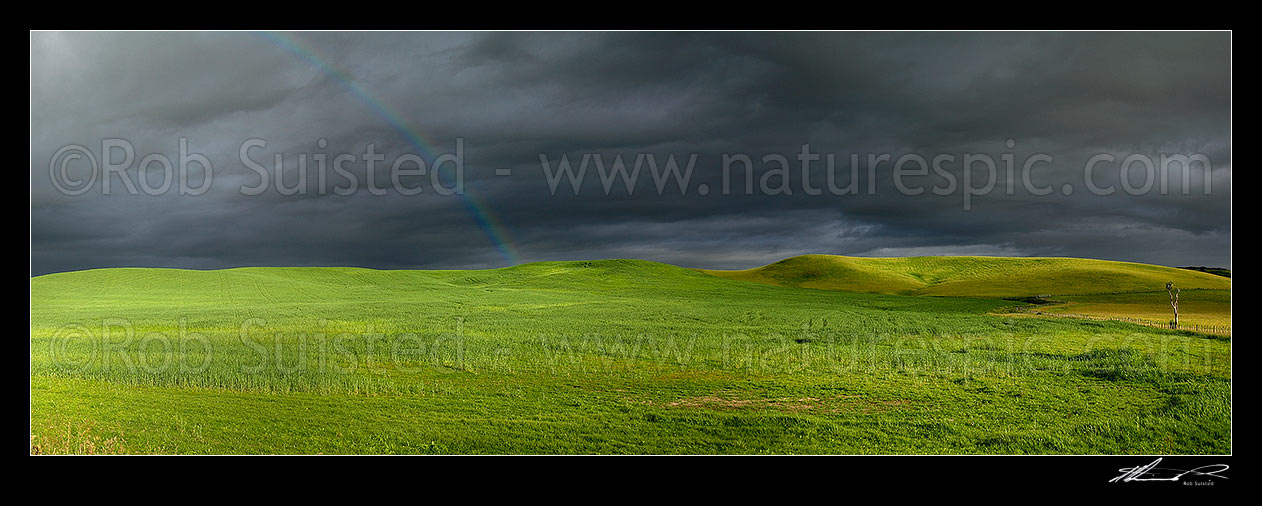 Image of Dark moody stormy skies brewing above lush summer grass farmland in Central Hawke's Bay, with rainbow. Panorama, Dannevirke, Tararua District, Manawatu-Wanganui Region, New Zealand (NZ) stock photo image