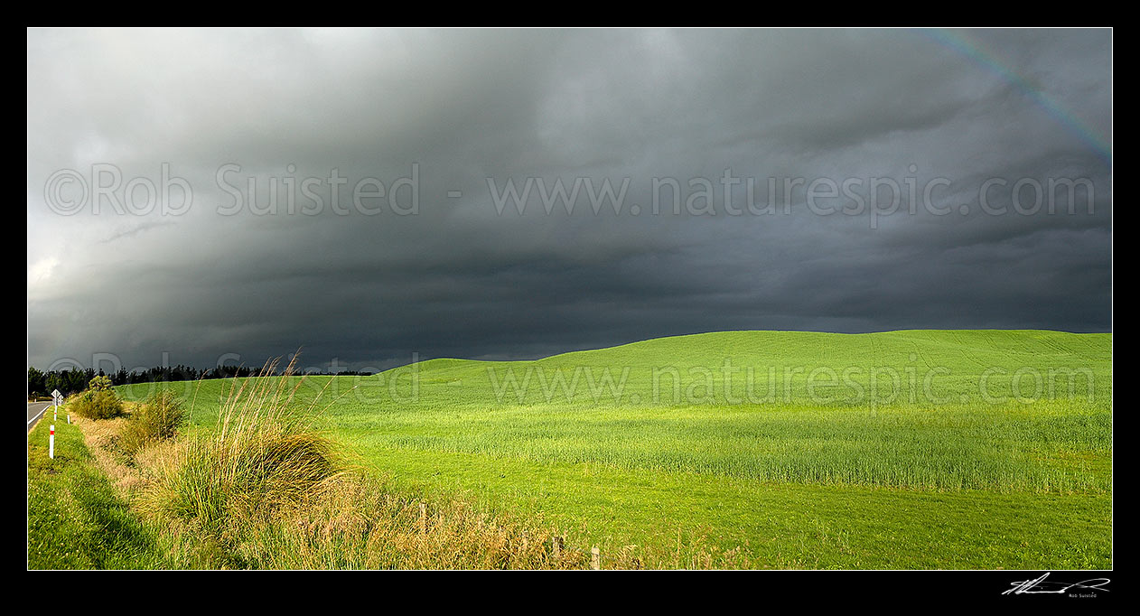 Image of Dark moody stormy skies brewing above lush summer grass farmland in Central Hawke's Bay. Panorama, Dannevirke, Tararua District, Manawatu-Wanganui Region, New Zealand (NZ) stock photo image