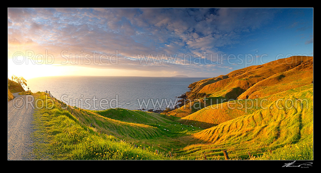 Image of Coromandel panorama looking north from near Cape Colville to Little Barrier Island (Hauturu) on beaut summer evening sunset. Farmland and dirt road, Cape Colville, Thames-Coromandel District, Waikato Region, New Zealand (NZ) stock photo image