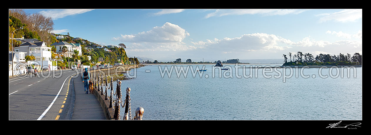 Image of Nelson waterfront and Wakefield Quay infront of Fifeshire Rock and Tahunanui Beach, with Haulashore Island at right, Nelson, Nelson City District, Nelson Region, New Zealand (NZ) stock photo image