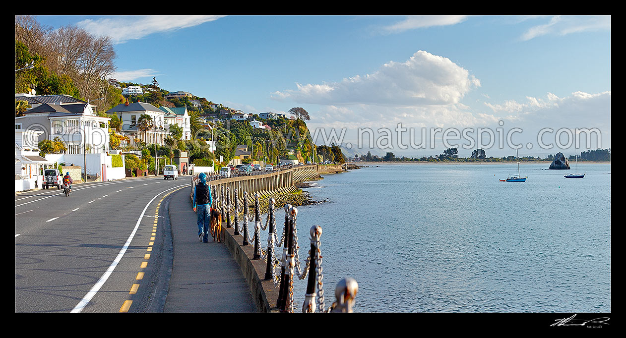 Image of Nelson waterfront and Wakefield Quay infront of Fifeshire Rock and Tahunanui Beach. Panorama, Nelson, Nelson City District, Nelson Region, New Zealand (NZ) stock photo image