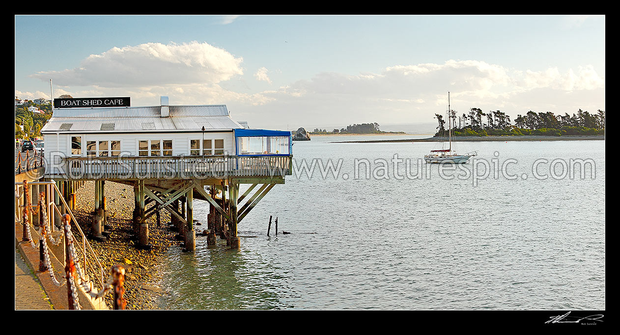 Image of The Boatshed Caf on the Nelson waterfront, with moored yacht in front of Haulashore Island. Panorama, Nelson, Nelson City District, Nelson Region, New Zealand (NZ) stock photo image