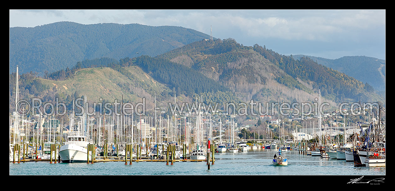 Image of Port Nelson with commercial wharf and boat marina, with yacht entering harbour. Panorama, Nelson, Nelson City District, Nelson Region, New Zealand (NZ) stock photo image