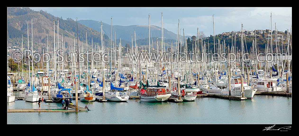 Image of Nelson marina with yachts, and recreational boats. Panorama, Nelson, Nelson City District, Nelson Region, New Zealand (NZ) stock photo image