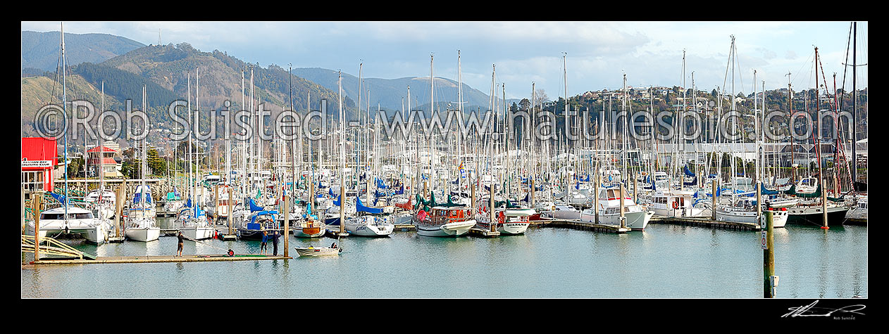 Image of Nelson marina with yachts, and recreational boats. Panorama, Nelson, Nelson City District, Nelson Region, New Zealand (NZ) stock photo image