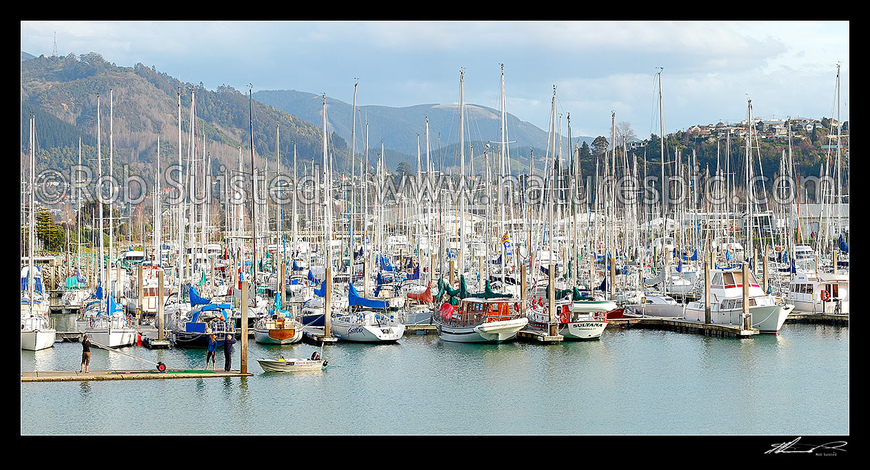 Image of Nelson marina with yachts, and recreational boats. Panorama, Nelson, Nelson City District, Nelson Region, New Zealand (NZ) stock photo image