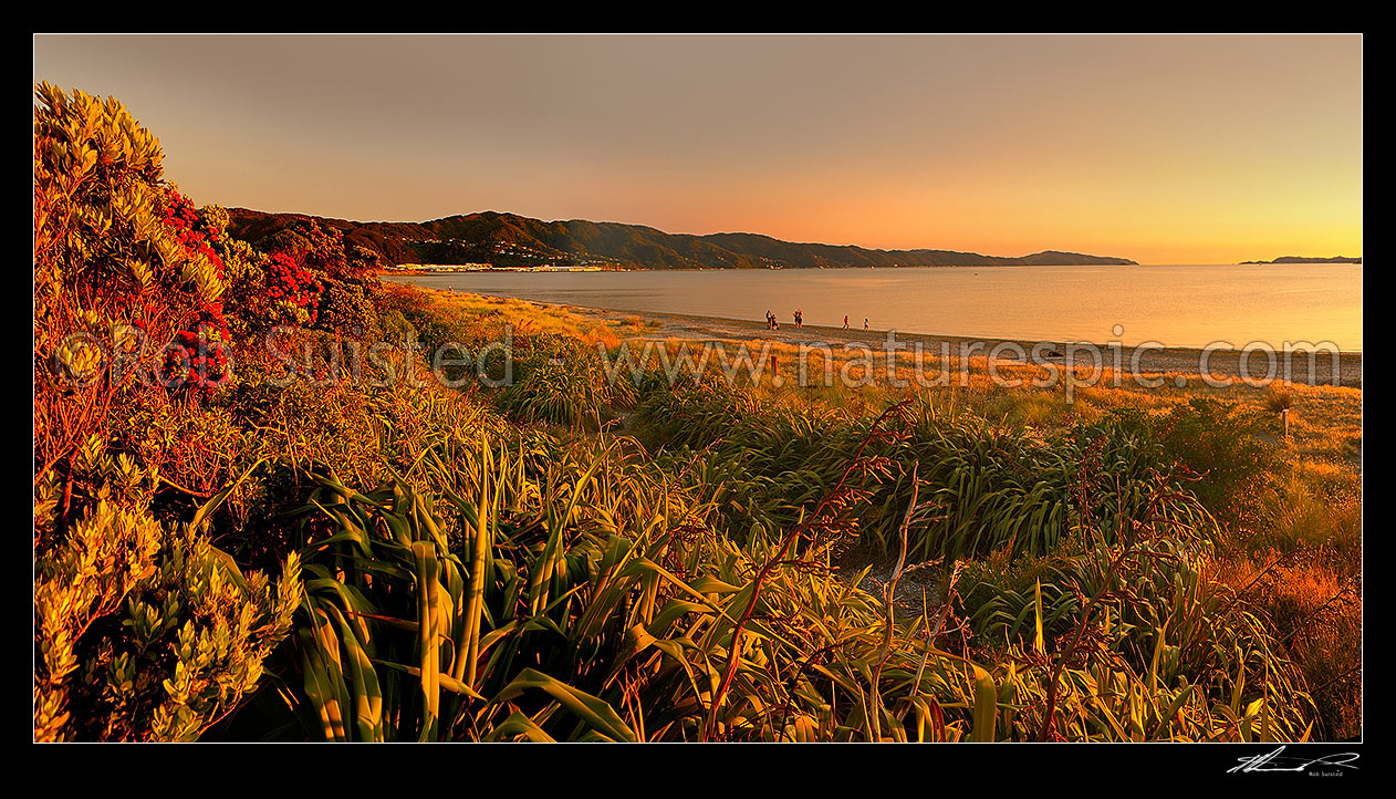 Image of Golden Petone Beach sunset with people enjoying a beautiful Wellington summer evening. Panorama, Petone, Hutt City District, Wellington Region, New Zealand (NZ) stock photo image