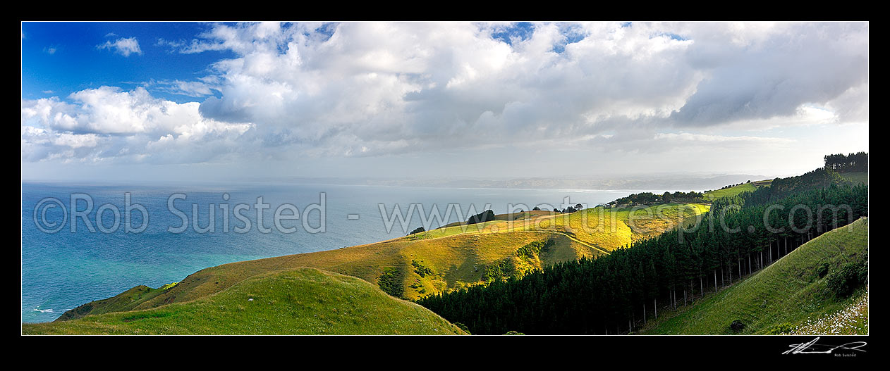 Image of Raglan coast farmland panorama looking north over the sea, Raglan, Waikato District, Waikato Region, New Zealand (NZ) stock photo image