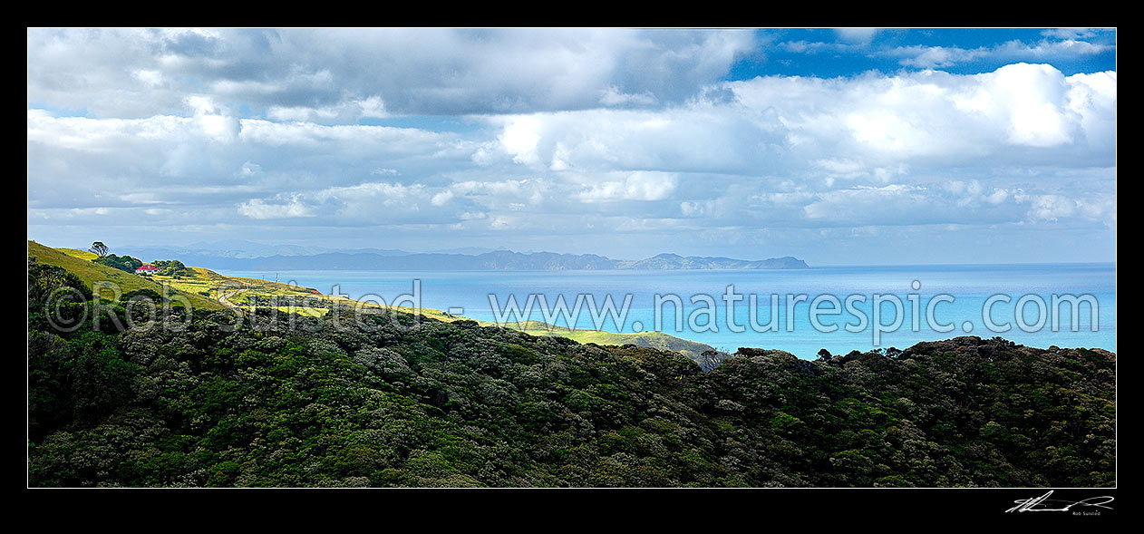 Image of Farmland above the south Raglan Coast near Papanui Point, with Albatross Point in distance. Panorama, Raglan, Waikato District, Waikato Region, New Zealand (NZ) stock photo image