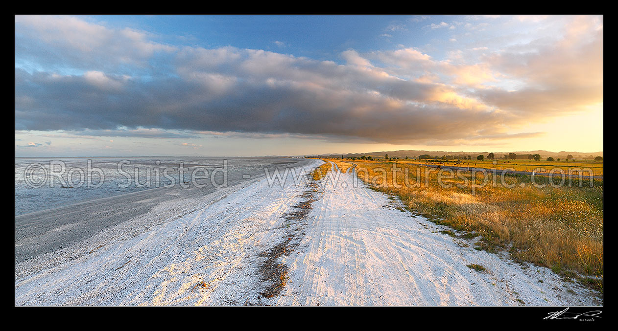 Image of Evening light on white shell banks and farmland near Miranda on the Hauraki Gulf coast. Panorama, Kaiaua, Franklin District, Waikato Region, New Zealand (NZ) stock photo image