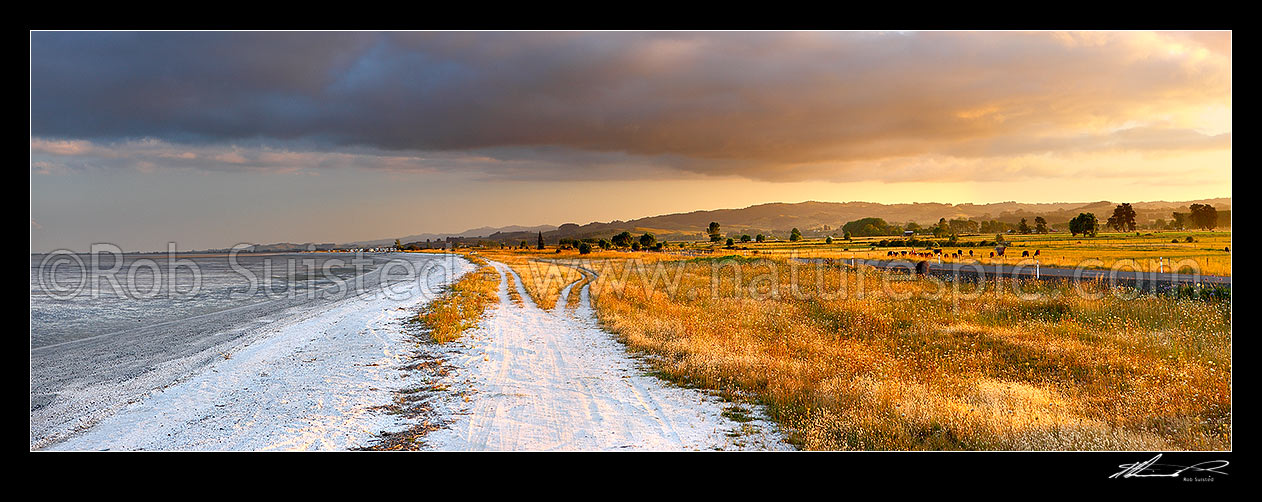 Image of Evening light on white shell banks and farmland near Miranda on the Hauraki Gulf coast. Panorama, Kaiaua, Franklin District, Waikato Region, New Zealand (NZ) stock photo image