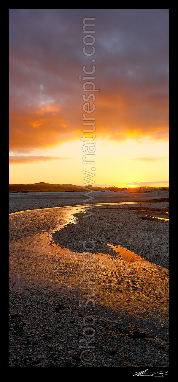 Image of Sunset over shellbanks and stream on the Hauraki Gulf coast near Miranda. Vertical panorama, Kaiaua, Franklin District, Waikato Region, New Zealand (NZ) stock photo image