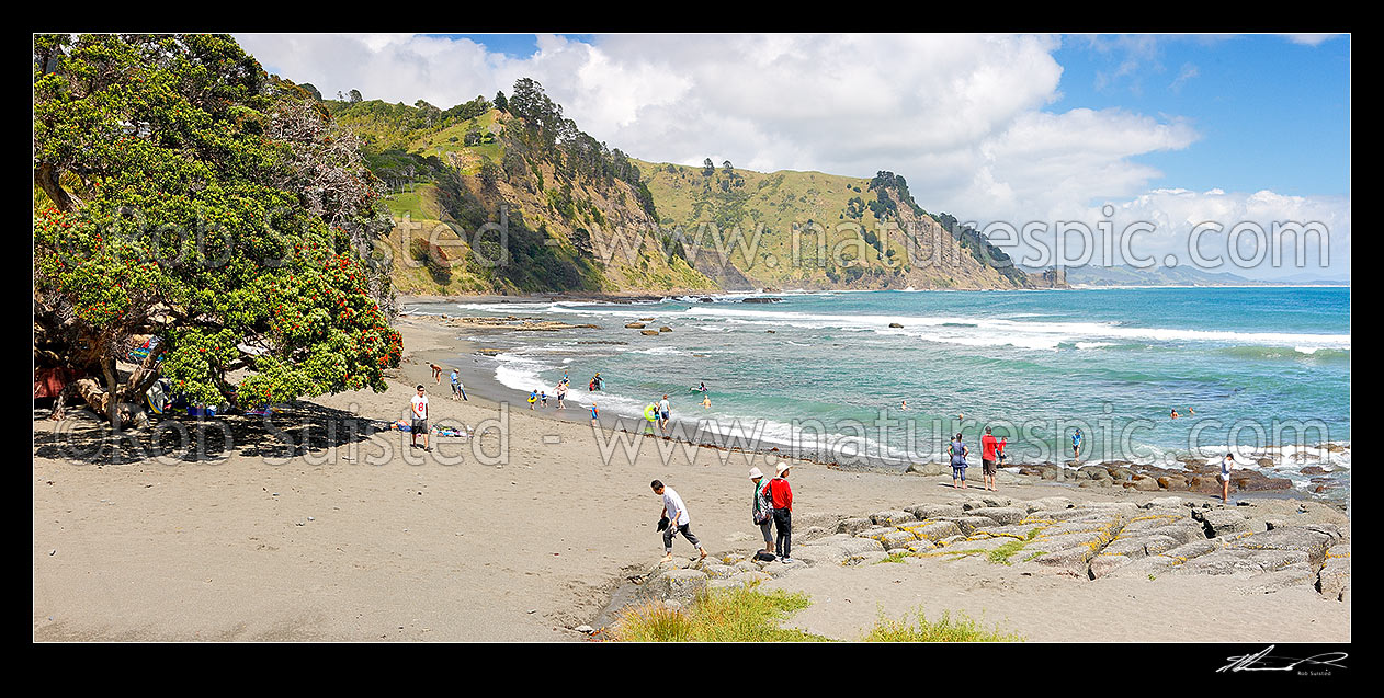 Image of Goat Island (Cape Rodney-Okakari Point) Marine Reserve and beach with summer visitors. Panorama, Leigh, Rodney District, Auckland Region, New Zealand (NZ) stock photo image