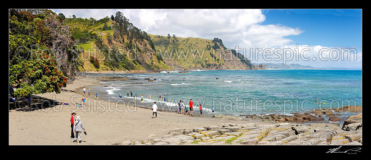 Image of Goat Island (Cape Rodney-Okakari Point) Marine Reserve and beach with summer visitors. Panorama, Leigh, Rodney District, Auckland Region, New Zealand (NZ) stock photo image