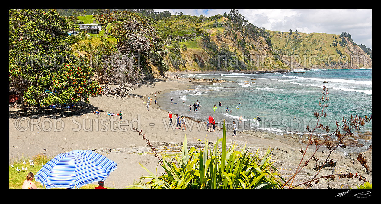 Image of Goat Island (Cape Rodney-Okakari Point) Marine Reserve and beach with summer visitors. Panorama, Leigh, Rodney District, Auckland Region, New Zealand (NZ) stock photo image