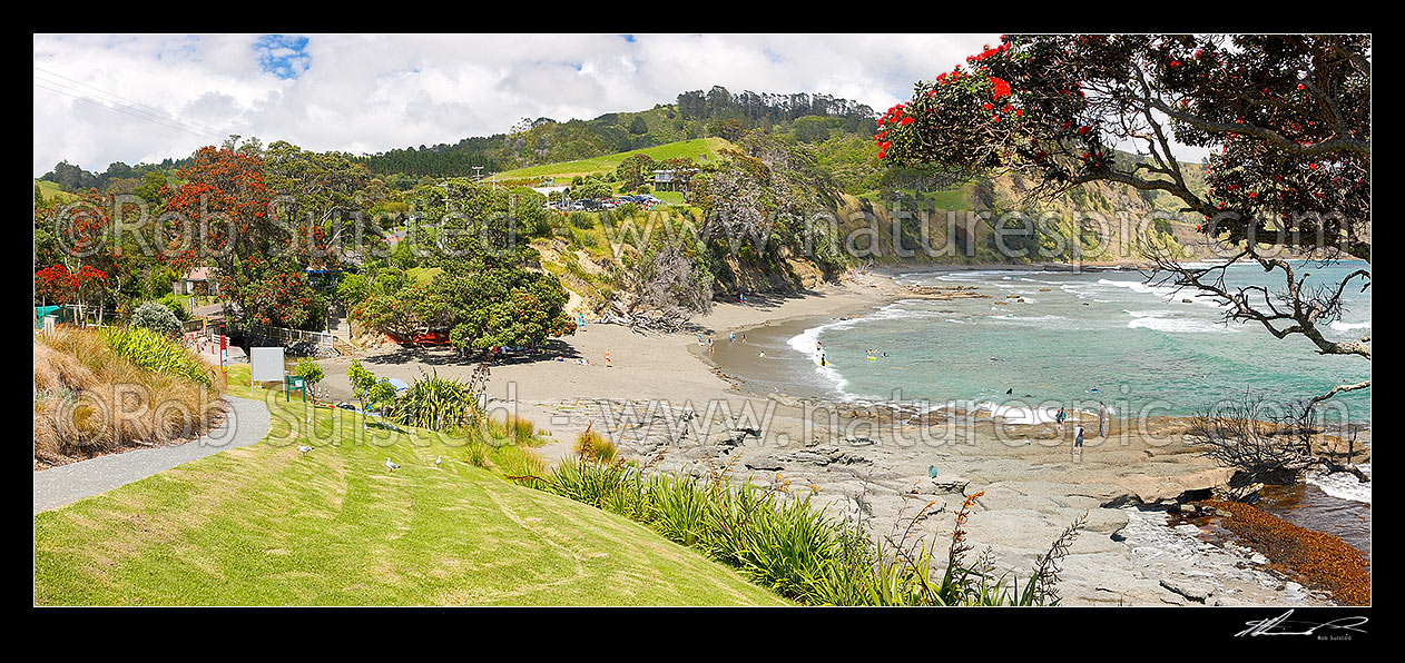 Image of Goat Island (Cape Rodney-Okakari Point) Marine Reserve and beach with summer visitors. Panorama, Leigh, Rodney District, Auckland Region, New Zealand (NZ) stock photo image