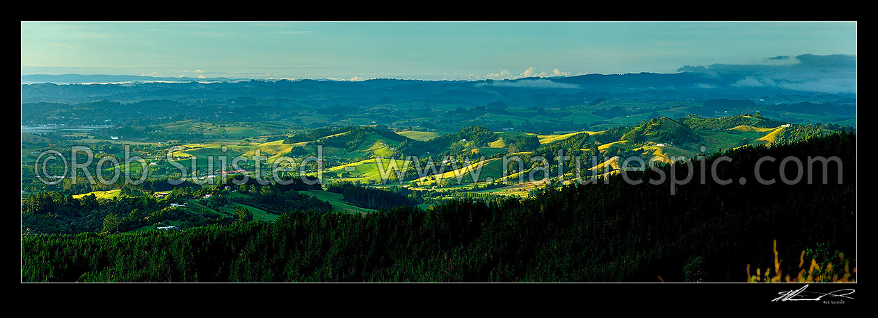 Image of Omaha Valley and Big Omaha farmland in morning light. Panorama, Omaha, Rodney District, Auckland Region, New Zealand (NZ) stock photo image