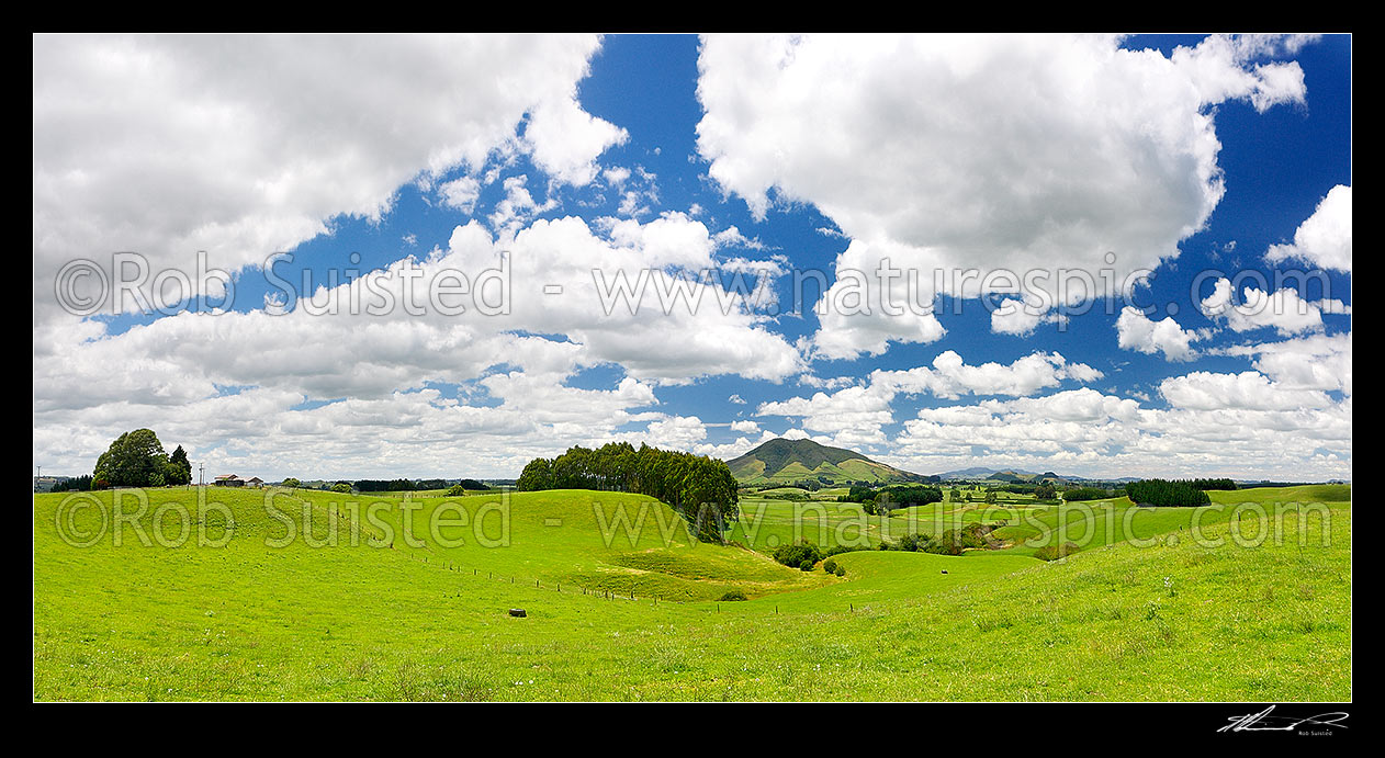 Image of Waikato dairy farmland by the Waipa River, with Mount Kakepuku (centre). Panaroma, Tihiroa, Otorohanga District, Waikato Region, New Zealand (NZ) stock photo image