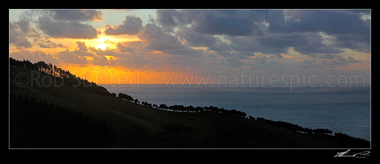 Image of Sunset over the sea, farmland and windbreak tree row, near Raglan. Panorama, Raglan, Waikato District, Waikato Region, New Zealand (NZ) stock photo image