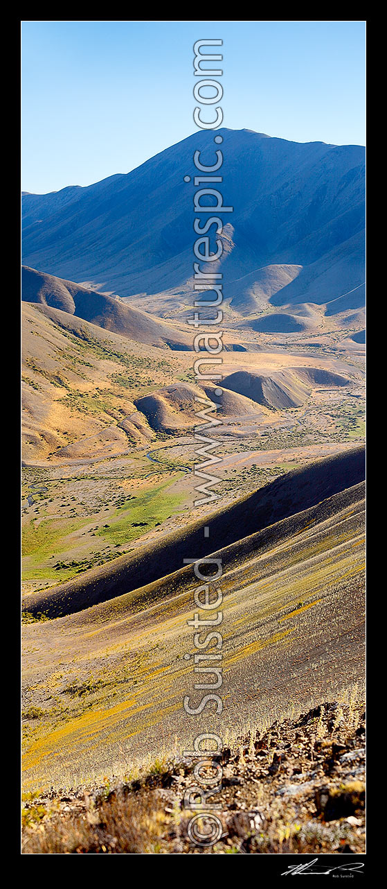 Image of Guide River, a tributary of the Acheron River. Looking over the mid section towards Barefell Pass. Vertical panorama, Molesworth Station, Marlborough District, Marlborough Region, New Zealand (NZ) stock photo image