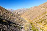 Carters Saddle, Molesworth Station