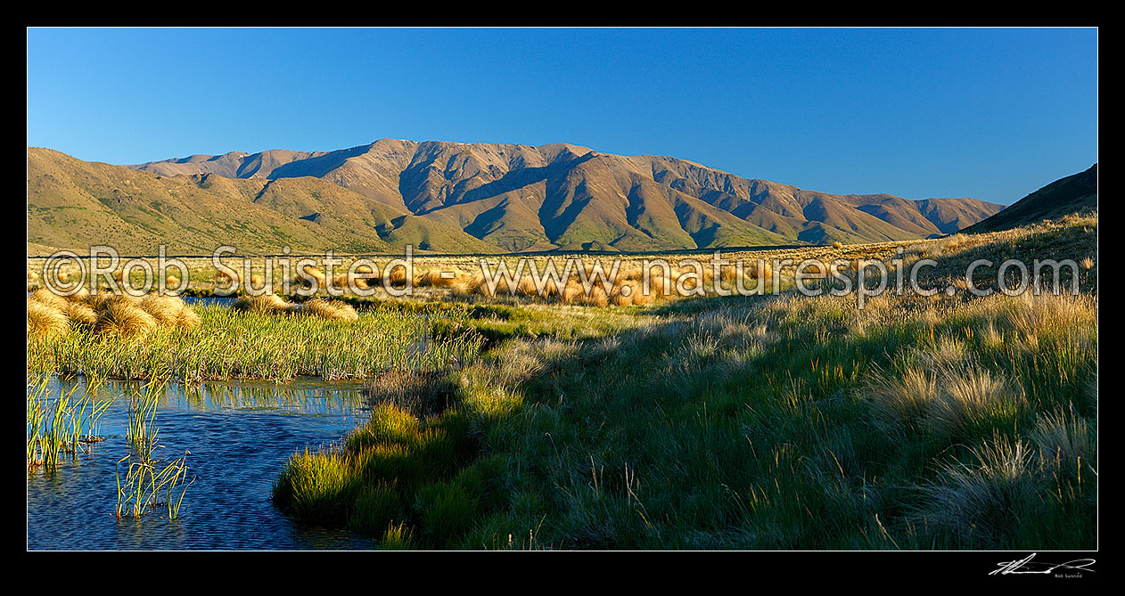 Image of Lake Sedgemere and wetland with the Boddington Range behind. Tarndale panorama, Molesworth Station, Marlborough District, Marlborough Region, New Zealand (NZ) stock photo image