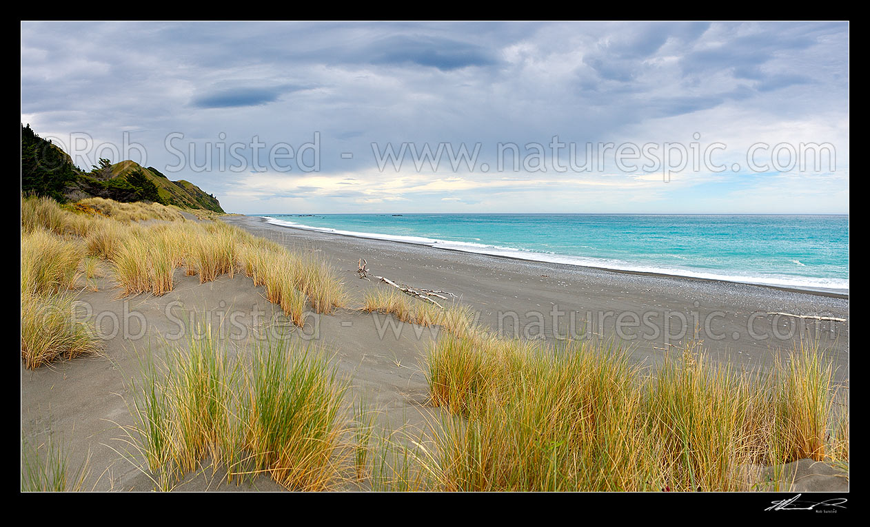 Image of Kekerengu Beach and sand dunes on the Kaikoura Coast. Panorama, Kekerengu, Kaikoura District, Canterbury Region, New Zealand (NZ) stock photo image