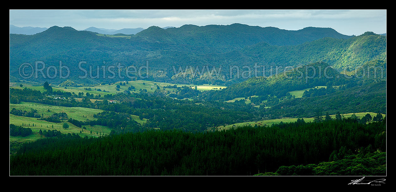 Image of Waiare panorama taking in native forest, farmland and plantion forest near Kerikeri, Waiare, Far North District, Northland Region, New Zealand (NZ) stock photo image