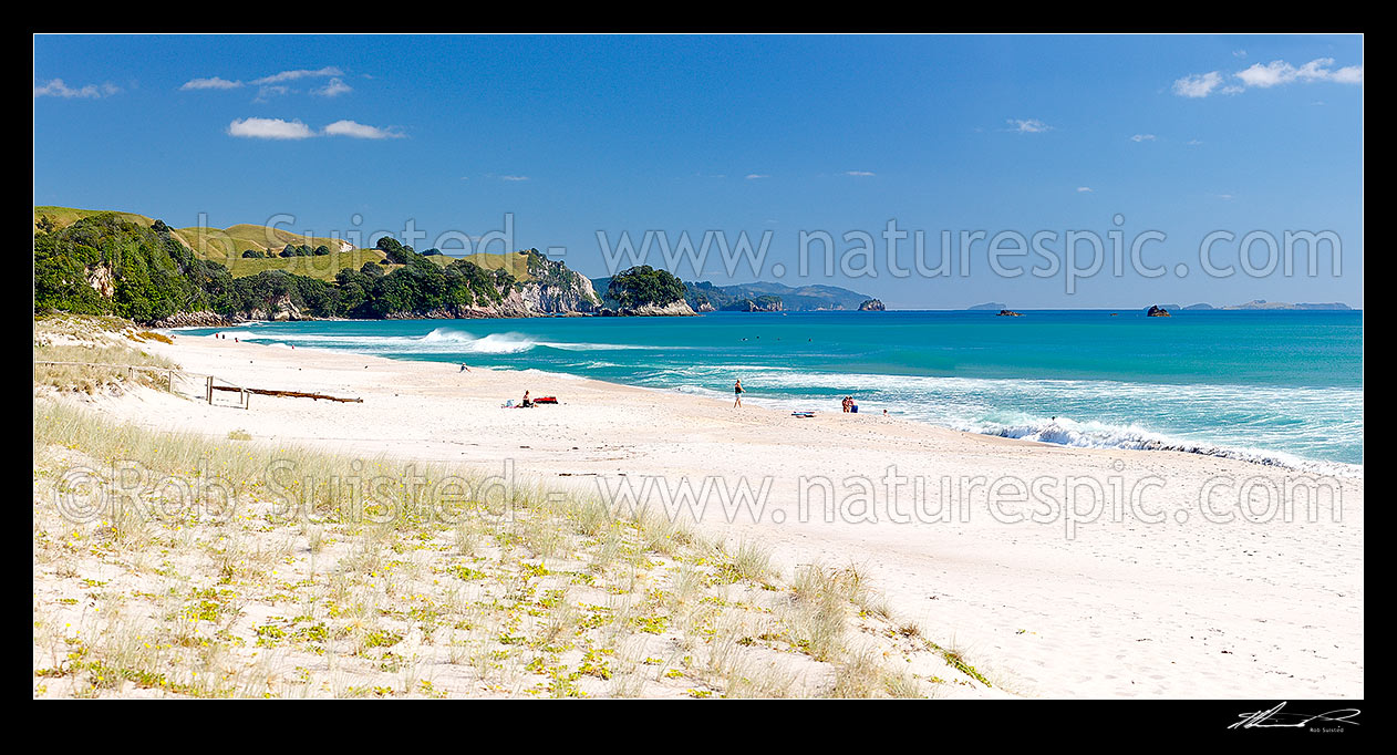 Image of Coromandel Beach at Whiritoa, with people enjoying relaxing, bodyboarding, swimming, surfing, walking and sunbathing in summer warmth. Coromandel Peninsula. Panorama, Whiritoa, Hauraki District, Waikato Region, New Zealand (NZ) stock photo image