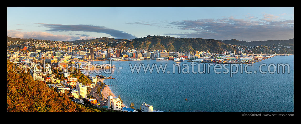 Image of Wellington city CBD and harbour panorama, looking past Oriental Bay to capital city buildings and wharves, Wellington, Wellington City District, Wellington Region, New Zealand (NZ) stock photo image