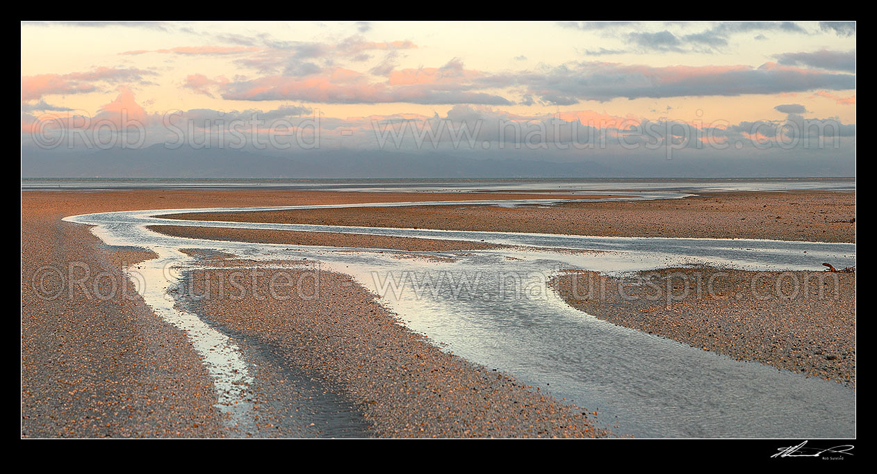 Image of Sunset over shellbanks, chenier plain and stream on the Hauraki Gulf coast near Miranda, Kaiaua, Franklin District, Waikato Region, New Zealand (NZ) stock photo image