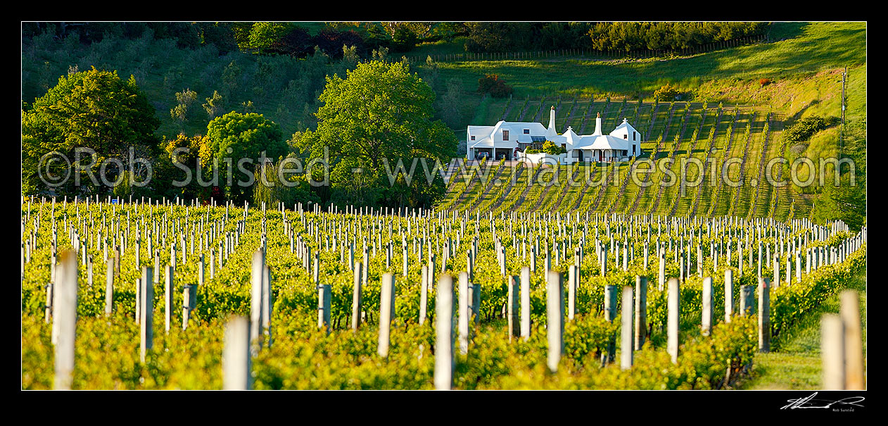 Image of Coleraine House or 'Buck House' landmark amongst vineyards of Te Mata Estate. House designed by Ian Athfield & built 1980. Panorama, Havelock North, Hastings District, Hawke's Bay Region, New Zealand (NZ) stock photo image