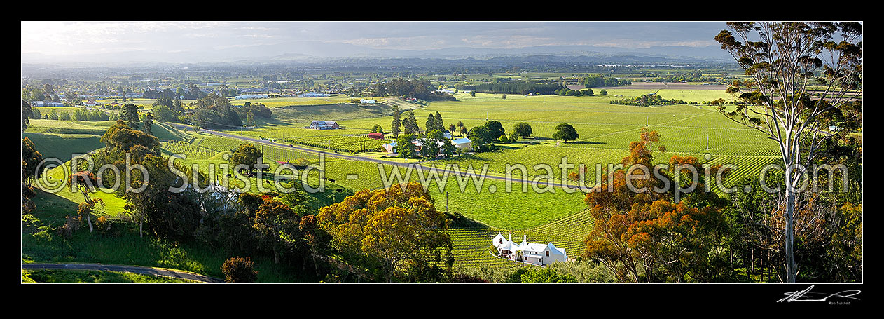 Image of Havelock North Panorama looking across vineyards on the Ngaruroro and Tutaekuri River plains, with Coleraine House or 'Buck House' landmark amongst vineyards of Te Mata Estate centre, Havelock North, Hastings District, Hawke's Bay Region, New Zealand (NZ) stock photo image