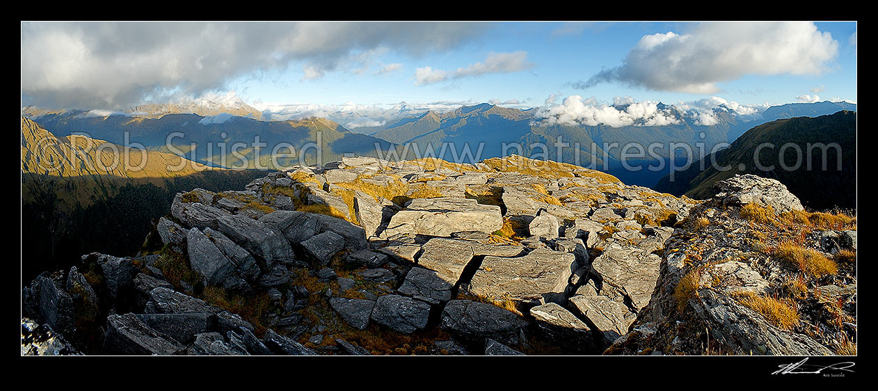 Image of Haast River Valley from the Thomas Range. Mt Brewster (2516m) distant centre. Stunning evening panorama over South Westland wilderness, Haast, Westland District, West Coast Region, New Zealand (NZ) stock photo image