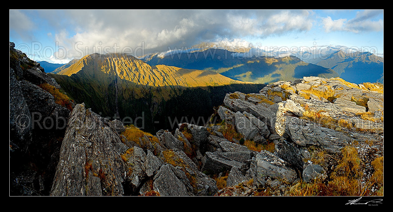 Image of Mt Swindle (1588m) at left, high above the Haast River Valley (right) and Cuttance Ridge (centre). Stunning evening panorama over South Westland wilderness, Haast, Westland District, West Coast Region, New Zealand (NZ) stock photo image