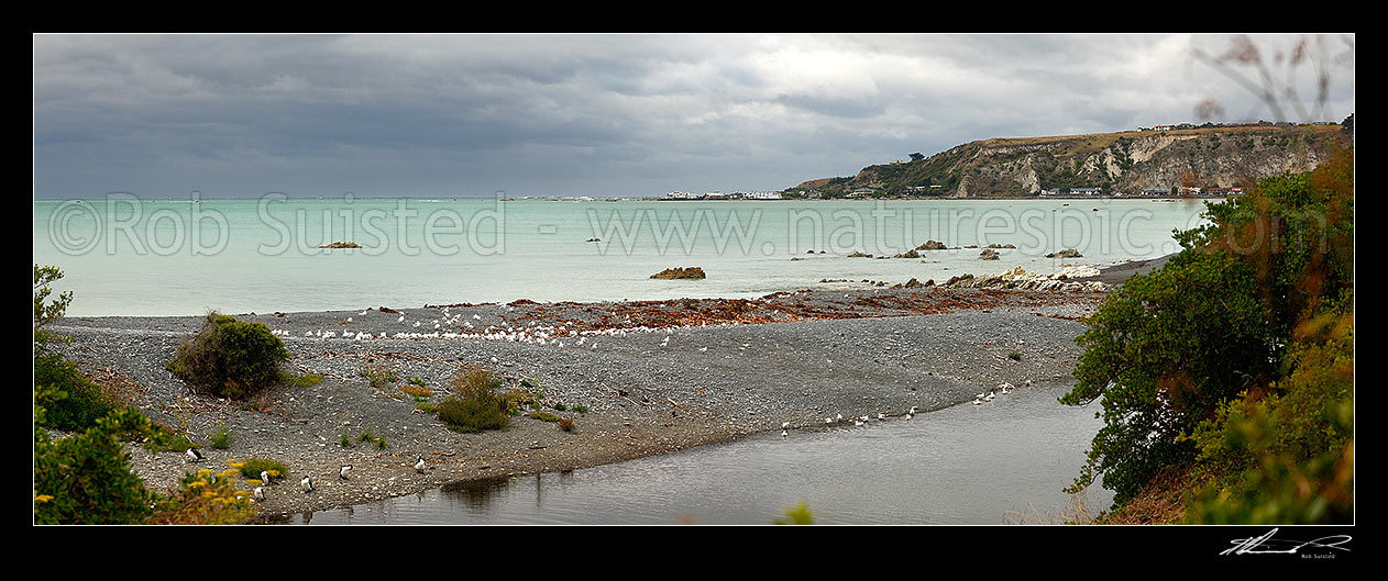 Image of Kaikoura town coastline panorama from The Esplanade, with clearing weather, Kaikoura, Kaikoura District, Canterbury Region, New Zealand (NZ) stock photo image