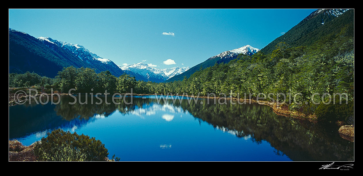 Image of Alpine tarn amongst beech (Nothofagus sp.) forest; Spenser Mountains beyond. Panorama, Lewis Pass, Hurunui District, Canterbury Region, New Zealand (NZ) stock photo image