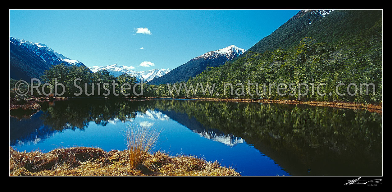 Image of Alpine tarn amongst beech (Nothofagus sp.) forest; Spenser Mountains beyond. Panorama, Lewis Pass, Hurunui District, Canterbury Region, New Zealand (NZ) stock photo image