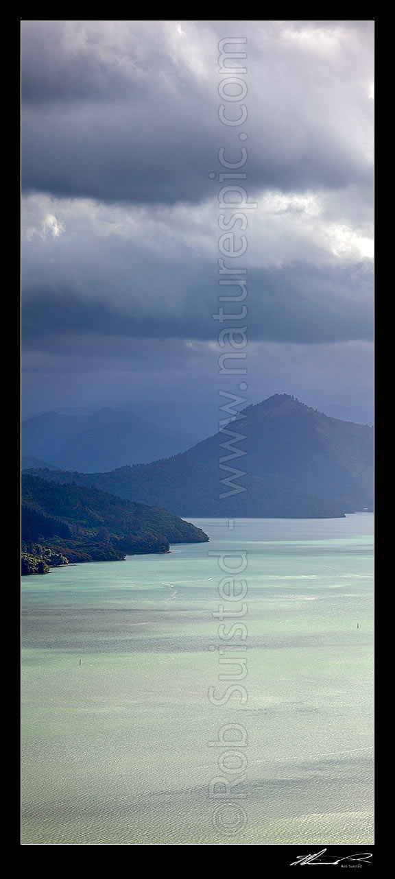 Image of Pelorus Sound and Mahau Sound. Black Point centre left. Marlborough Sounds. Vertical panorama, Havelock, Marlborough District, Marlborough Region, New Zealand (NZ) stock photo image